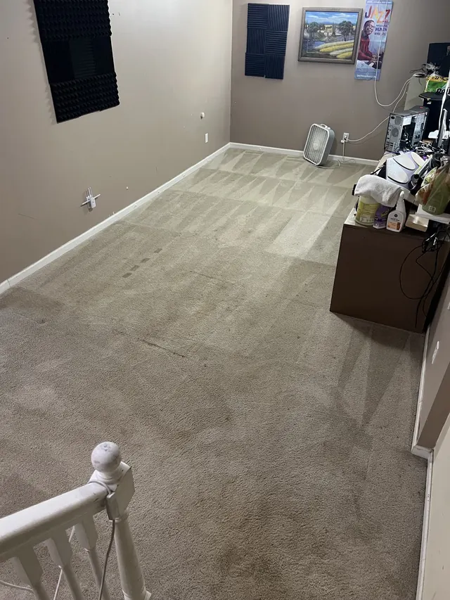 Freshly cleaned carpet, posted by a customer