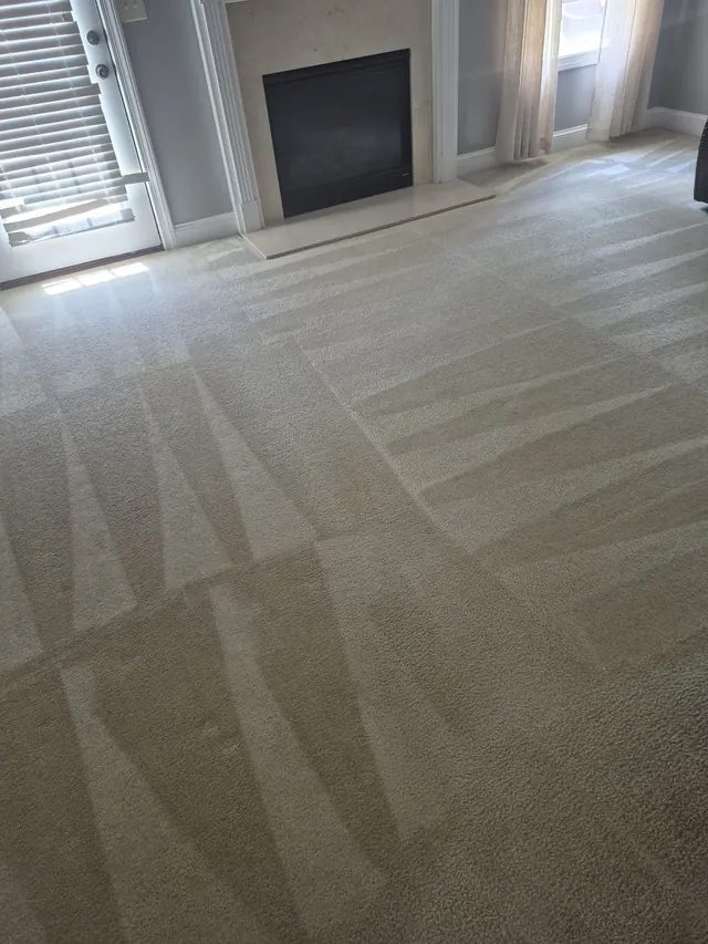Freshly cleaned living room carpet